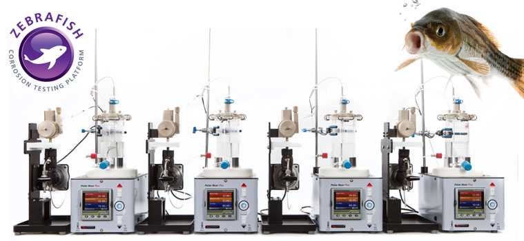 Zebrafish - Corrosion Testing Platform